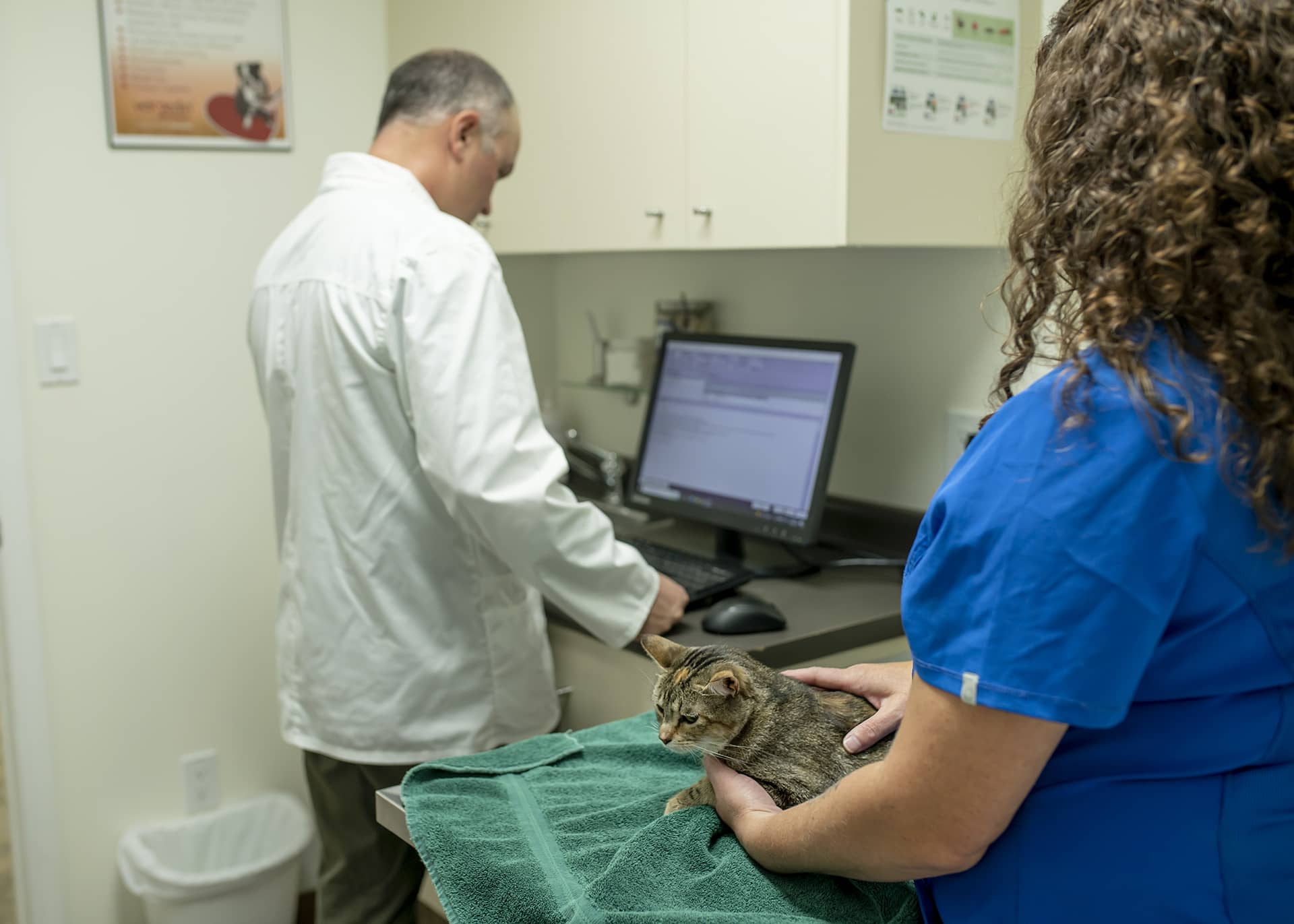 Twin Valley Veterinary Patient Gallery Vet In Esterhazy, SK