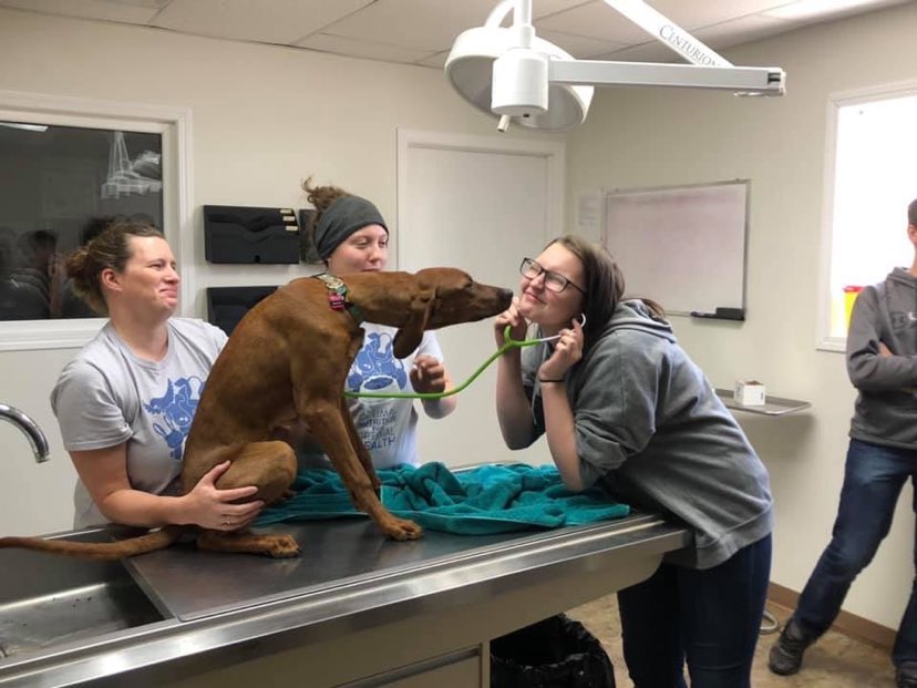 Twin Valley Veterinary Health Services school tour